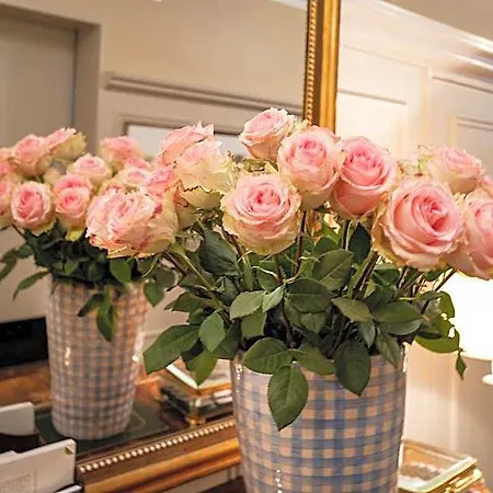 Hotel Boutique Kindli